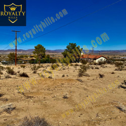 5580 Mesquite Springs Rd Twentynine Palms CA92277 California United States