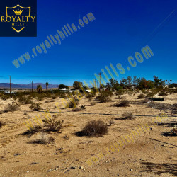 5580 Mesquite Springs Rd Twentynine Palms CA92277 California United States