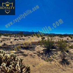 5580 Mesquite Springs Rd Twentynine Palms CA92277 California United States