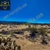 5580 Mesquite Springs Rd Twentynine Palms CA92277 California United States