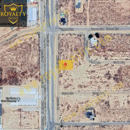 Neuralia Rd California City CA93505 California United States