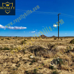 Neuralia Rd California City CA93505 California United States