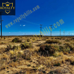Neuralia Rd California City CA93505 California United States