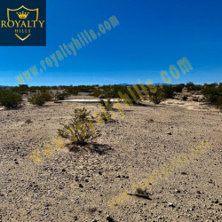 Shoshone Valley Rd Twentynine Palms CA92277 United States