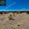 Shoshone Valley Rd Twentynine Palms CA92277 United States