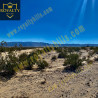 Shoshone Valley Rd Twentynine Palms CA92277 United States