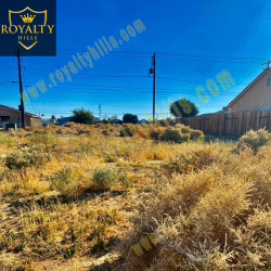 7600-7800 Walpole Ave California City CA93505 United States