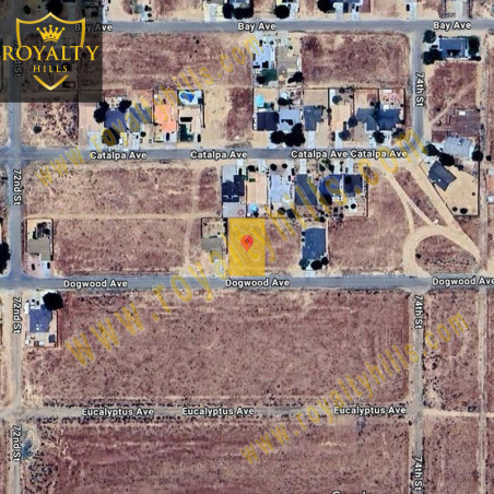 7315 Dogwood Ave California City CA93505 United States