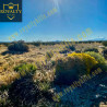 Sylvan Ave California City CA93505 United States