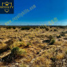 Sylvan Ave California City CA93505 United States