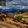 Lot 333 ASPNs081 Reid St Lake Elsinore CA92530 United States