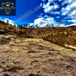 Lot 333 ASPNs081 Reid St Lake Elsinore CA92530 United States