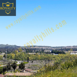 Multi-Lot Property in Reid St Lake Elsinore CA92530 United States