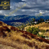 Lot 335 ASPNs079Reid St Lake Elsinore CA92530 United States