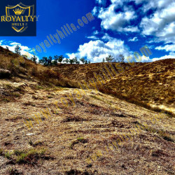 Lot 335 ASPNs079Reid St Lake Elsinore CA92530 United States